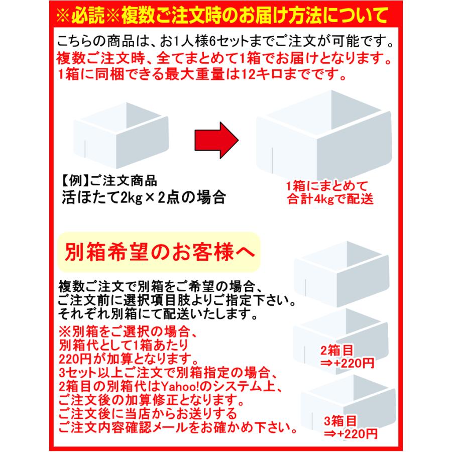 青森 ホタテ 殻付き 活ほたて 大サイズ2キロ 送料無料 青森 陸奥 貝柱が美味 ほたて 2kg（約8枚-12枚）お取り寄せ 海産