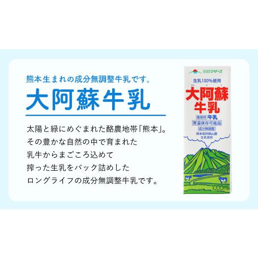 ふるさと納税 熊本県 益城町 大阿蘇 牛乳 1L 紙パック 6本入 合計6L 成分無調整牛乳 乳飲料