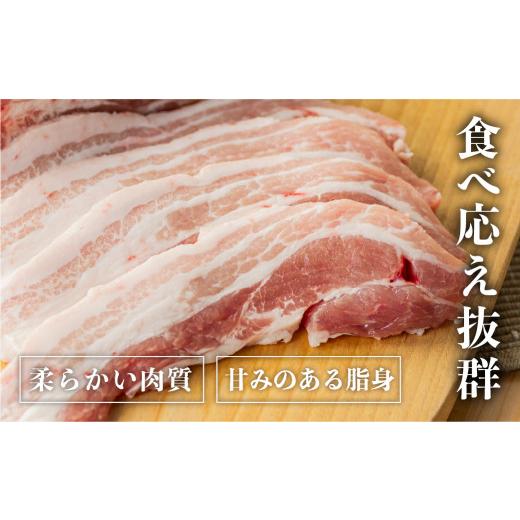 ふるさと納税 岐阜県 白川村 白川郷 結旨豚バラブロック 約1kg 豚肉 国産 白川村 400g〜600g×2 真空パック 小分け 角煮 焼肉 ブランド豚 12000円 抗生物質 合…