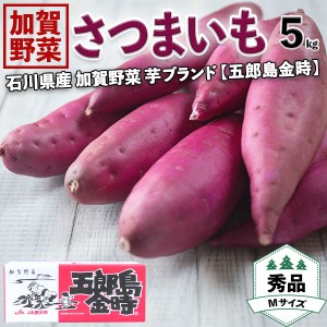 さつまいも・五郎島金時 5kg(約18～22本入り) 等級：秀 Mサイズ贈答用・生芋・産地直送野菜・ギフト