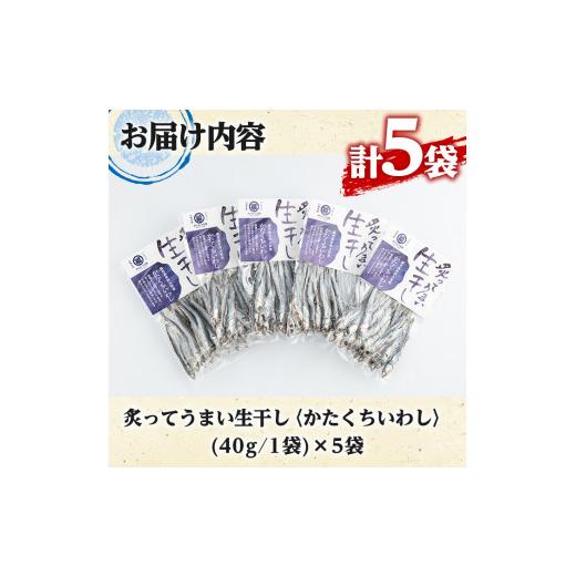 ふるさと納税 鹿児島県 阿久根市 鹿児島県阿久根市産生干し「かたくちいわし」(計5袋・1袋40g)国産 魚介 干物 イワシ 鰯 がらんつ干物 2-…