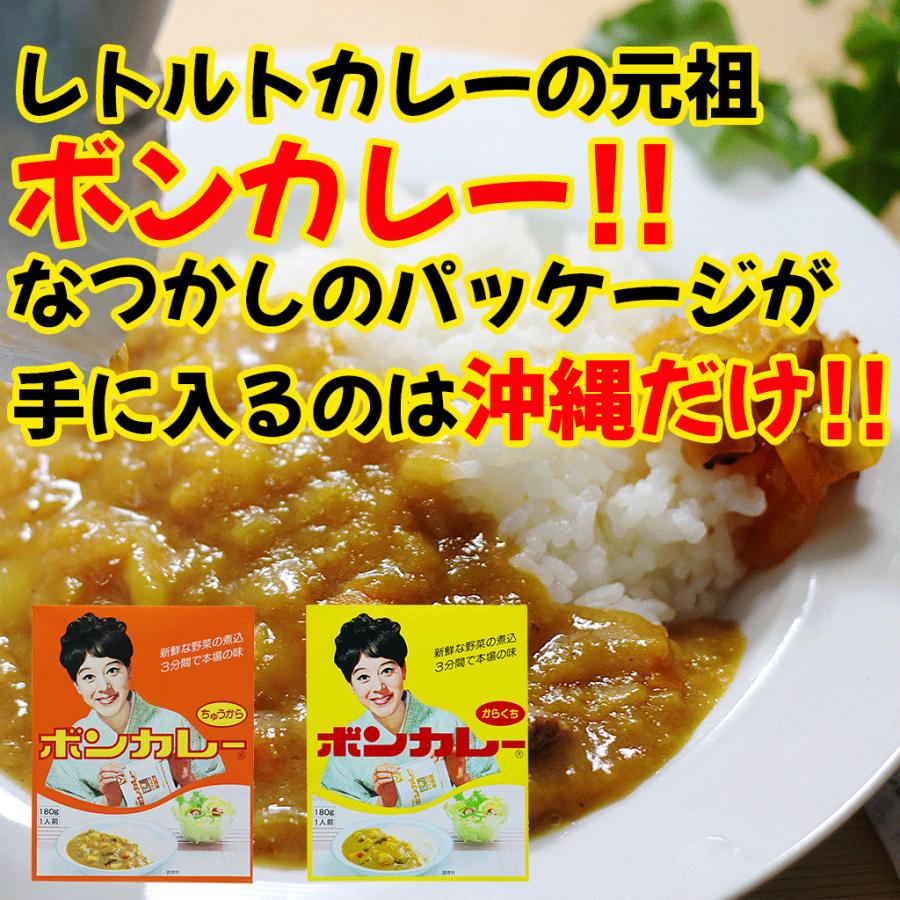 ボンカレー　中辛辛口2種セット　大塚食品