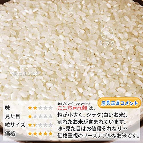  白米 10kg (5kg×2袋) にこちゃん飯 国内産100%