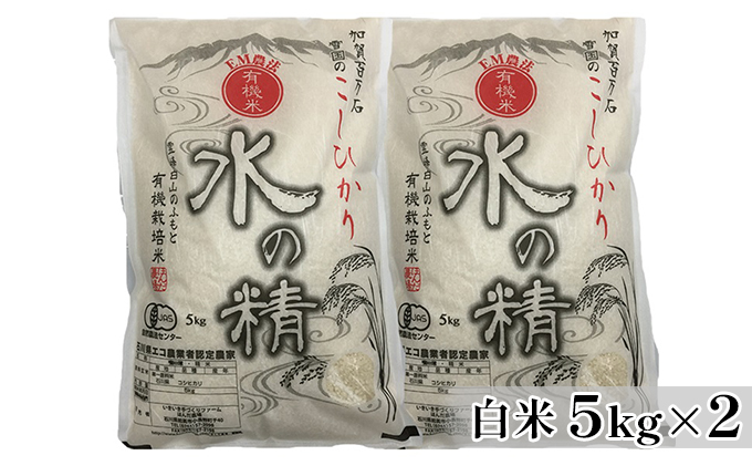 有機米こしひかり「水の精」白米5kg×2個