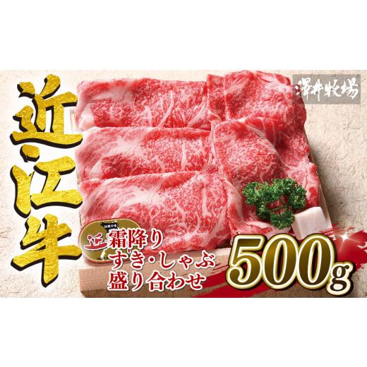 ふるさと納税 滋賀県 竜王町 近江牛 霜降り すき焼き しゃぶしゃぶ  500g 冷凍 ロース カタ モモ 黒毛和牛 牛肉 肉 ギフト 自宅用 高級 黒毛和牛 国産 ふるさ…