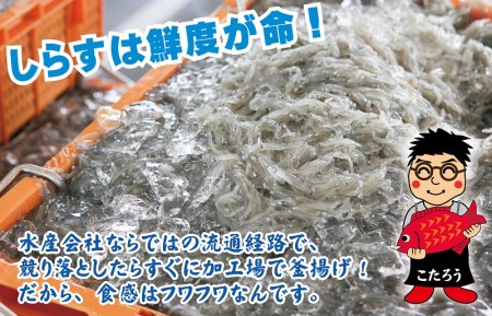 釜揚げしらす 合計 2kg（500g×4）