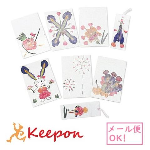 押し花セット ネコポス可 アーテック キット 押し花 手作り ハンドメイド しおり クラフト 工作 ハガキ ポストカード 通販 Lineポイント最大0 5 Get Lineショッピング