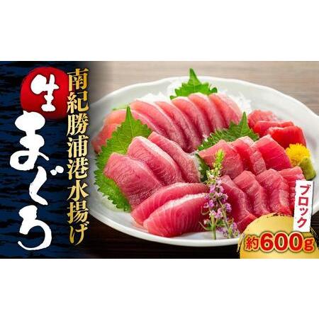 ふるさと納税 生まぐろの本場紀州勝浦から直送！　生メバチマグロ 約600g 和歌山県那智勝浦町