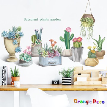【橘果設計】多肉植物 壁貼 牆貼 壁紙 DIY組合裝飾佈置