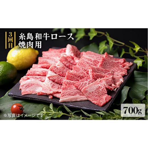 ふるさと納税 福岡県 糸島市 美味しさ 満載 ！ 贅沢お 肉 セット の 定期便 全5回 （月1回） 4人 家族用 【福岡 糸島産 牛肉 豚肉 鶏肉 ステーキ しゃぶしゃぶ…