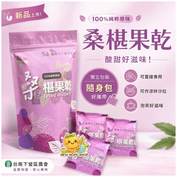 ✨新品 ✨下營區農會【桑椹果乾】120克 桑椹 🍇 果乾 桑葚 蜜餞 桑葚果干 果干 A贏 農會 台灣製 🇹🇼