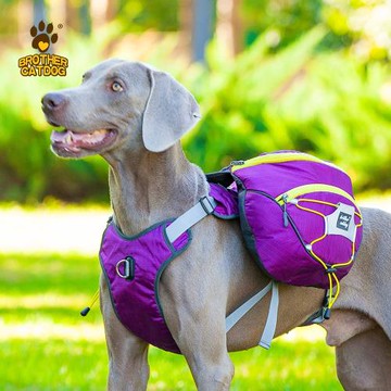 亞馬遜熱賣爆款狗狗寵物包 超大容量防水可拆卸狗狗外出自背包