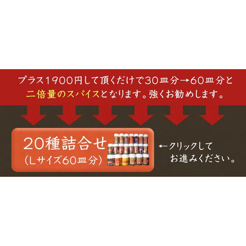 カレー　スパイス　お得　セット　20種　詰合せ（30皿分）　俺のカレー