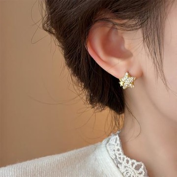閃鉆星星耳釘女2026新款爆款高級感輕奢氣質大氣耳環巨好看耳飾品