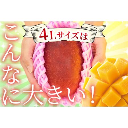 ふるさと納税 予約受付！数量限定！＜宮崎県産 完熟マンゴー B等級 4Lサイズ×1玉（約500g〜650g前後）＞2024年4月下旬〜2024.. 宮崎県国富町