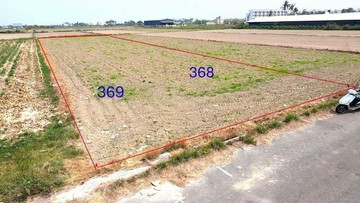 台南七股樹林段超美農地方正臨路車可進出1｜台南市七股區樹林