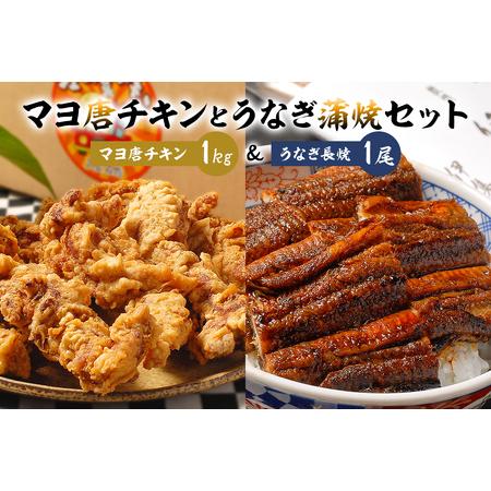 ふるさと納税 「マヨ唐チキン」と「炭かおる地焼き　うなぎ蒲焼（たれ付）」のセット 岐阜県可児市