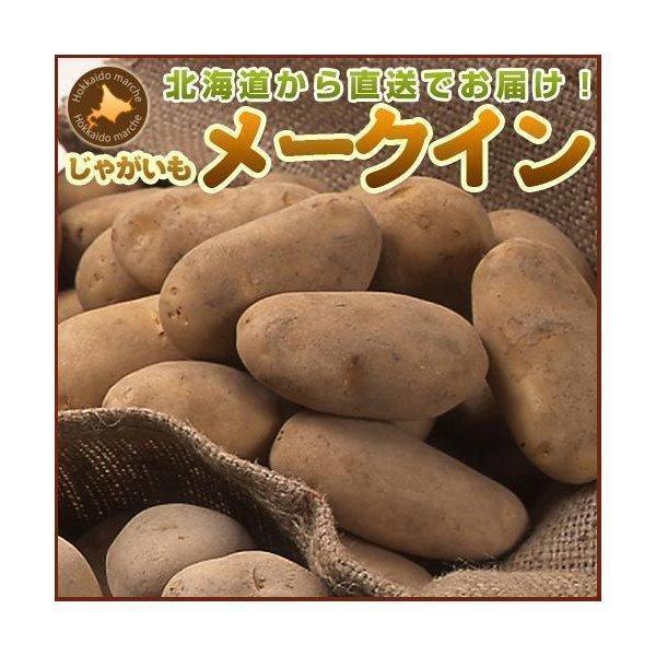 じゃがいも ジャガイモ メークイン 5kg 正品・LM L 2L混 （新じゃがいも） 野菜 北海道産 お礼 御祝 産直 内祝