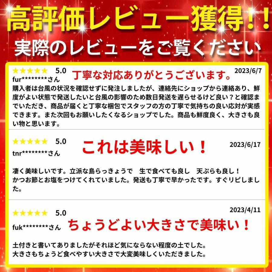 島らっきょう １ｋｇ沖縄産 おいしい しまらっきょう 土付き 島野菜 らっきょう エシャロット 玉ねぎ しゃきしゃき ビール 酒 肴 アテ おつまみ 天ぷら うまい