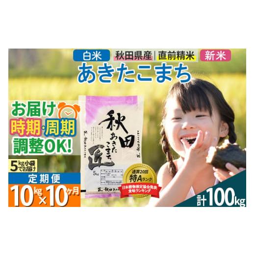 ふるさと納税 秋田県 仙北市 ＜新米＞ 《定期便10ヶ月》秋田県産 あきたこまち 10kg (5kg×2袋)×10回 令和5年産 時期選べる10キロ お米