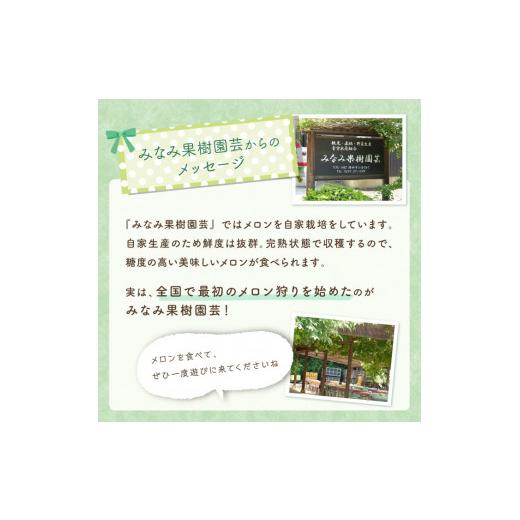 ふるさと納税 茨城県 鉾田市 大玉緑肉　2玉入り(5kg以上)