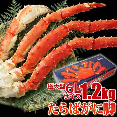 ふるさと納税 亘理町  たらばがに 脚 6Lサイズ 1.2kg×1本 マルヤ水産 かに 蟹