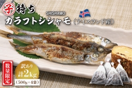  子持ち カラフトシシャモ ２kg (500g×4袋) 訳アリ シシャモ ししゃも カラフトししゃも 大洗 規格外 訳あり わけあり 傷 ヤマイシ アイスランド産