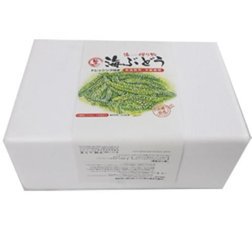 茎付海ぶどう500g(専用タレ付き)