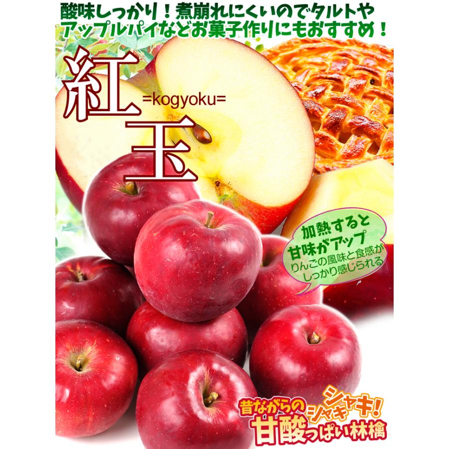 りんご 10kg 紅玉 青森産 ご家庭用 送料無料 食品