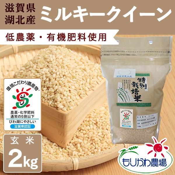 新米 滋賀県産 ミルキークイーン 玄米 2kg 令和５年産