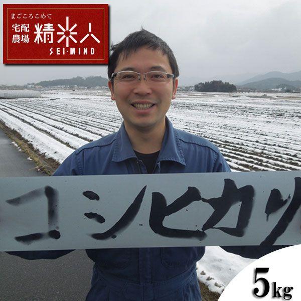 新米！令和5年兵庫県丹波篠山産特別栽培コシヒカリ白米5kg