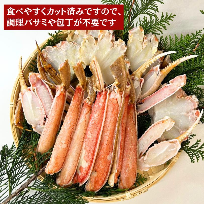 生ずわいがに　カットズワイガニ　1.6kg（800ｇ×2ｐｃ）ハーフポーション　大サイズ　 3L　お歳暮　贈答　ギフト　カニ鍋　冷凍　かに　蟹