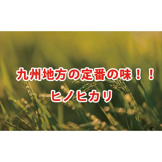 新米令和３年　熊本県城北産ヒノヒカリ　精白米5kg　おいしいお米　　米　5kg　送料無料