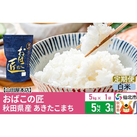 ふるさと納税 《定期便3ヶ月》令和5年産 仙北市産 おばこの匠 5kg×3回 計15kg 秋田県産あきたこまち 秋田こまち お米 3か月 3ヵ月 .. 秋田県仙北市