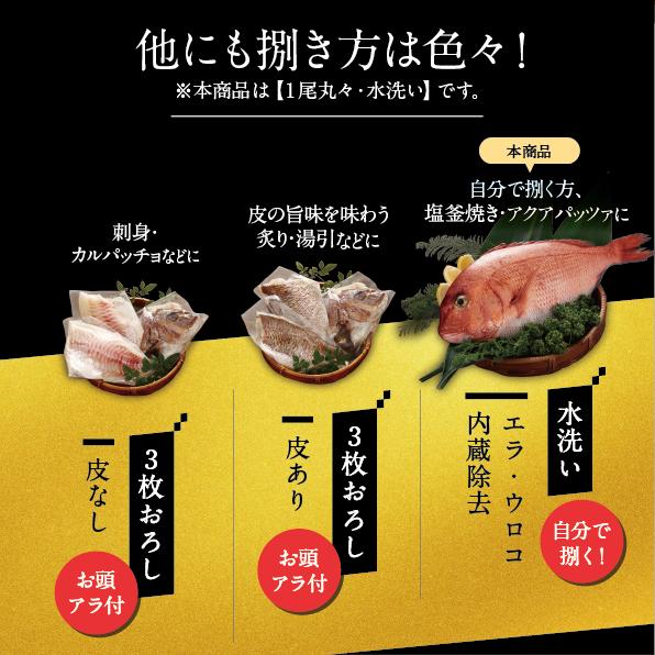 ＜送料無料＞南伊勢ブランド真鯛 １kg〜1.2kg