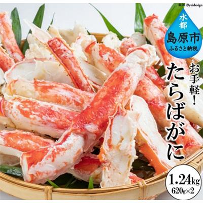 ふるさと納税 島原市 ハーフポーション　Wセット　620g×2(化粧箱入り)