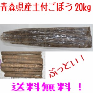 青森県産　　土付き　ごぼう　３L　２０ｋｇ　　送料無料！