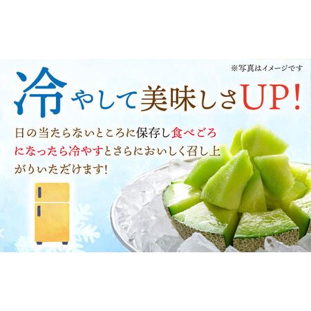 ふるさと納税 タカミメロン 約5kg（3?5玉） 《小値賀町》【ながさき西海農協小.. 長崎県小値賀町