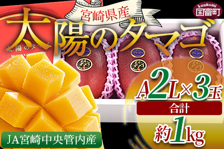 予約受付！数量限定＜宮崎県産 太陽のタマゴ A等級 2Lサイズ×3玉（合計約1kg）＞2024年4月下旬～2024年6月下旬迄に順次出荷