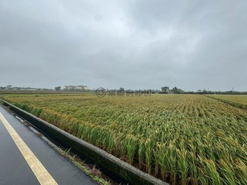 伯公1210坪福田｜新竹縣新豐鄉員山