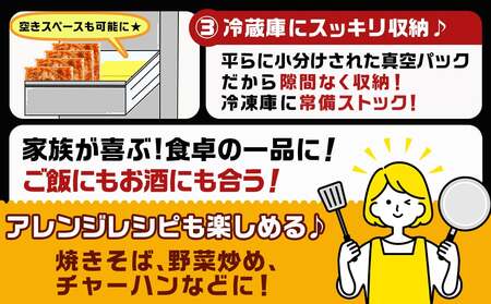 やみつき豚ホルモン!3kg!真空小分けパック!_AA-3307_(都城市) 国産豚 ホルモン 味付き 300g×10P 3kg 小分け 真空パック