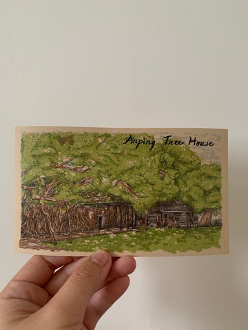 安平樹屋明信片