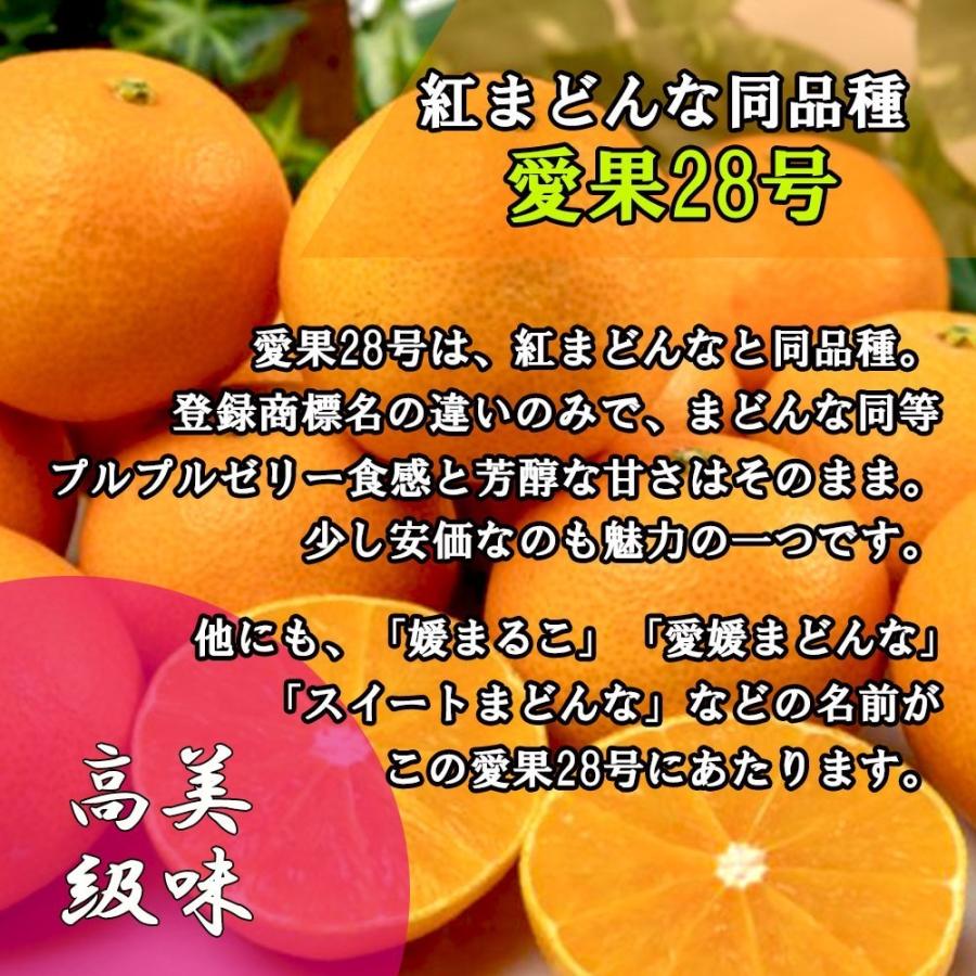 みかん 箱買い 訳あり 紅まどんな 愛果28号 家庭用 みかん べにまどんな 愛媛県産 約5ｋｇ 送料無料