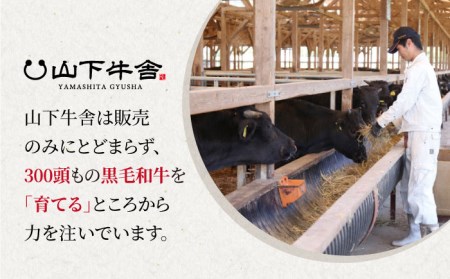 佐賀牛 リブロース スライス 500g（すき焼き用）黒毛和牛 牛肉 ロース 鍋 霜降り 定期便 [HAD077]