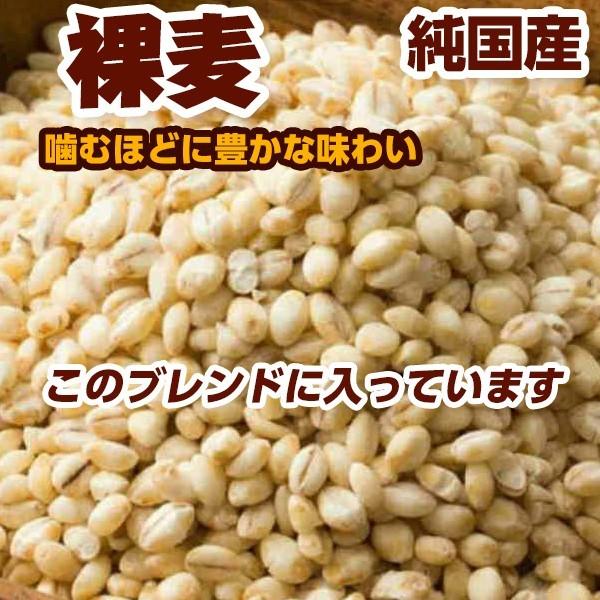 雑穀 雑穀米 国産 麦５種ブレンド 4.5kg(450g×10袋) [丸麦 押麦 はだか麦 もち麦 はと麦] 無添加 無着色 徳用サイズ 送料無料 ダイエット食品