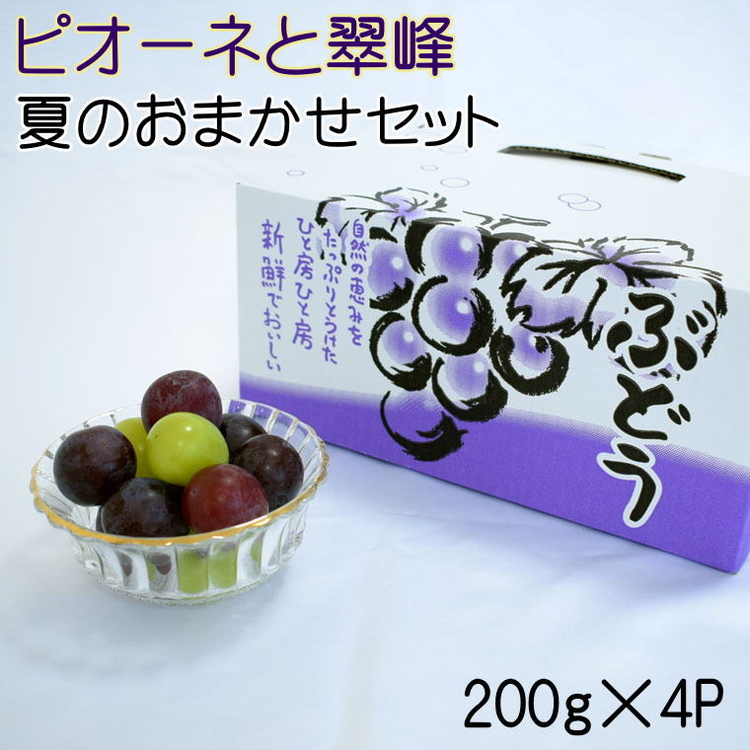 ピオーネと翠峰の夏のおまかせセット約200g×4パック ※着日指定不可 ※北海道・沖縄・離島への配送不可 ※2024年9月上旬～9月中旬頃に順次発送予定