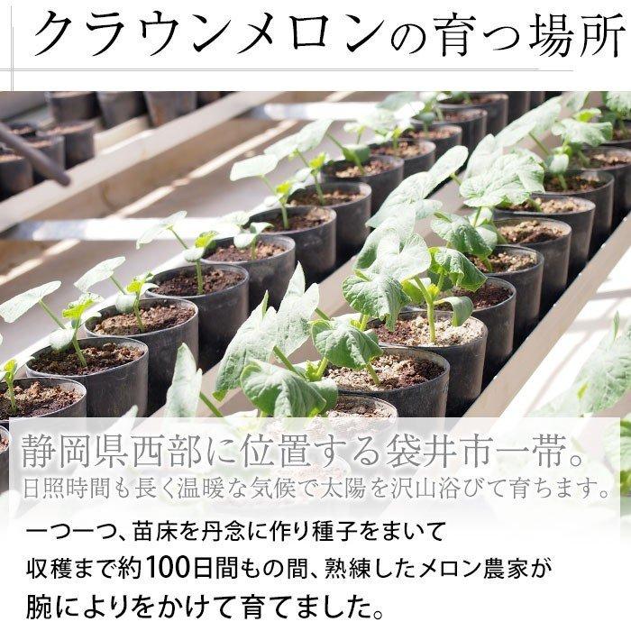 メロン 静岡県産 クラウンメロン 6個 等級：山 7.5kg以上 産地元箱入