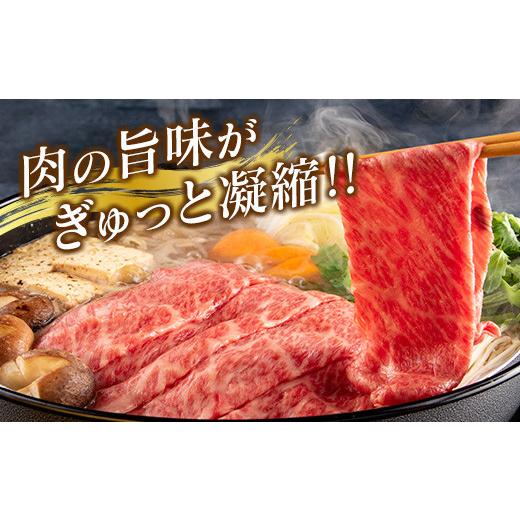 ふるさと納税 宮崎県 日南市 数量限定「5等級黒毛和牛モモスライス」計1kg 肉 牛 牛肉 国産 すき焼き しゃぶしゃぶ 配送月が選べる_CB74-23…