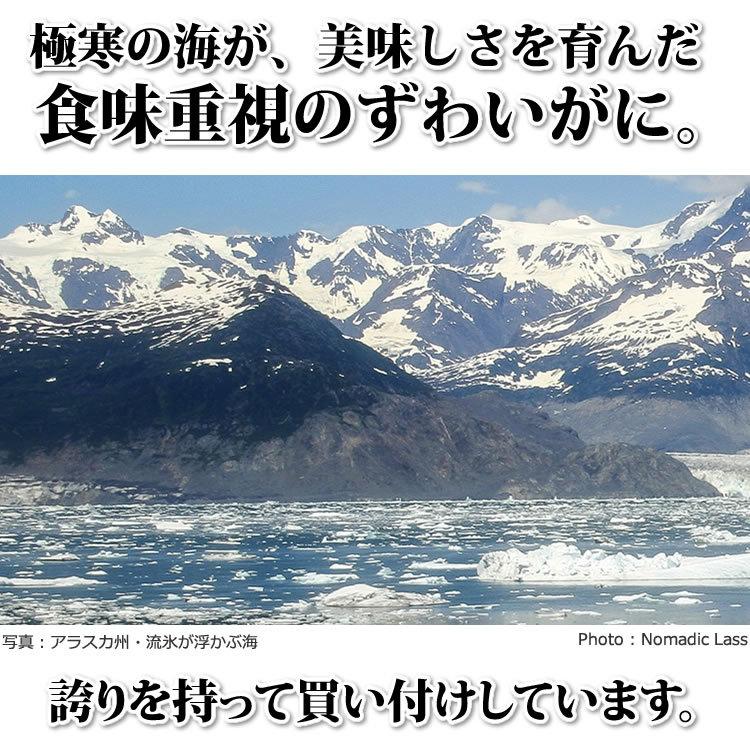 お歳暮 御歳暮 ギフト 2023 カニ かに 蟹 特大 ズワイガニ 脚 5kg (3L・4Lサイズ) 5キロ 海鮮 ボイル 蟹 足 脚 グルメ ギフト 送料無料