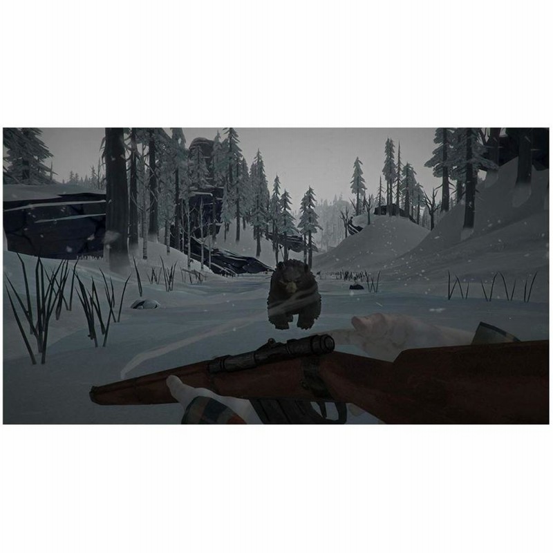The Long Dark ザ ロング ダーク PS4 輸入版【新品】 | LINE